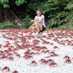 This Natural Phenomena Will Haunt Your Dreams